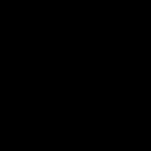 Meet your Posher, Ty